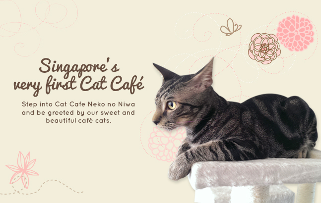 catcafe_100313_banner_01