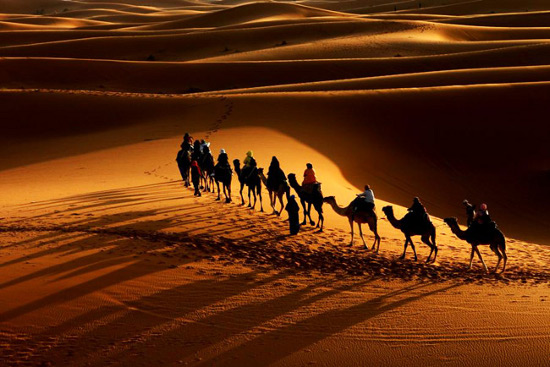 camel-caravan-01