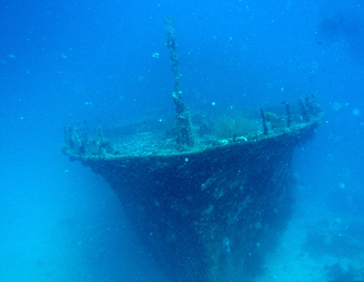 Discover the relict of Yongala, in the Australia's Great Barrier Reef (www.yongaladive.com.au)