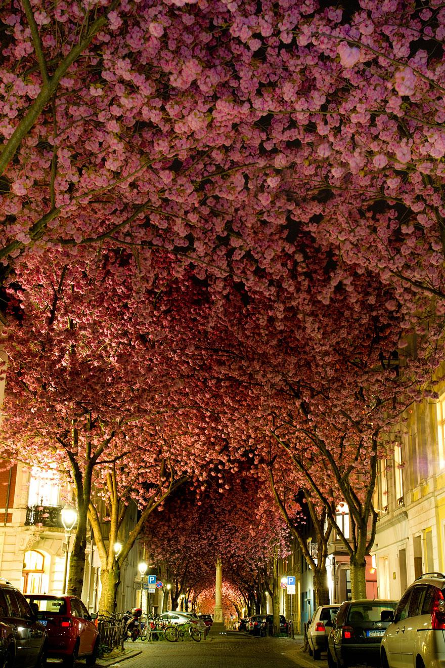 Bonn street, Germany