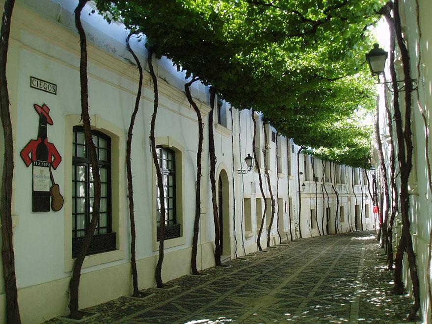 Jerez Street, Spain