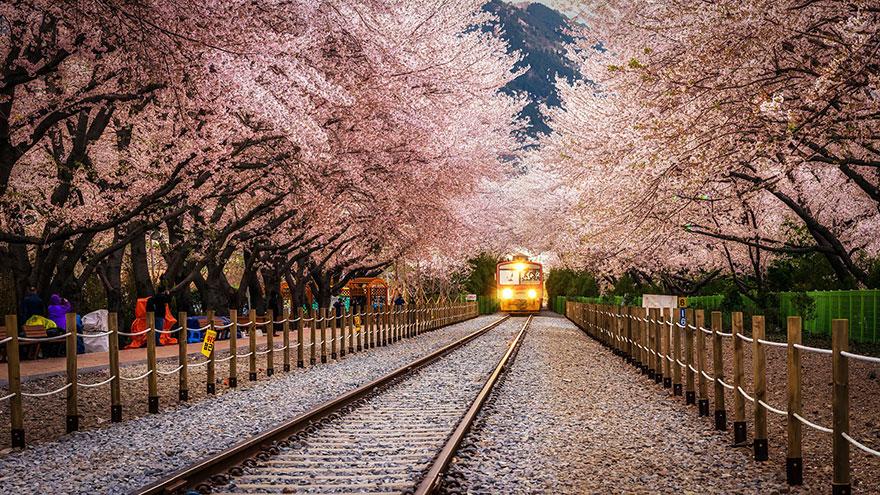 Gyeonghwa Station, Jinhae, South Korea