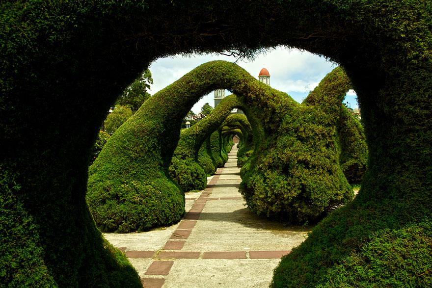 Francisco Alvarado Parque, Costa Rica