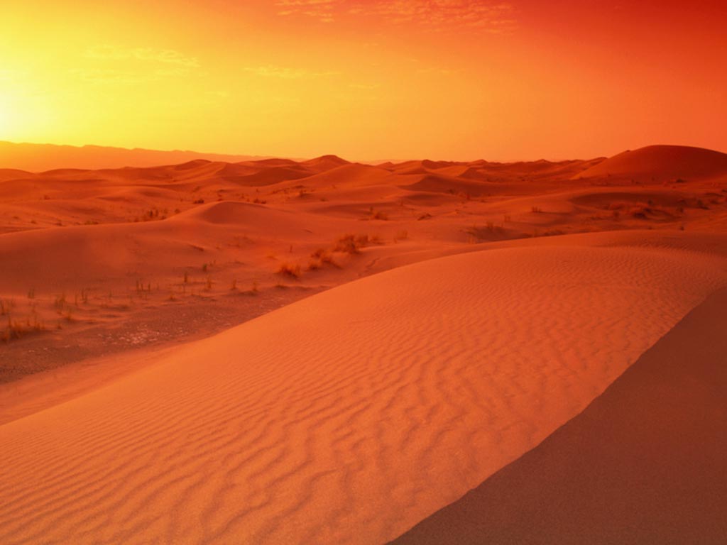 Arabian-Desert_sunrise_1024x768-Wallpaper