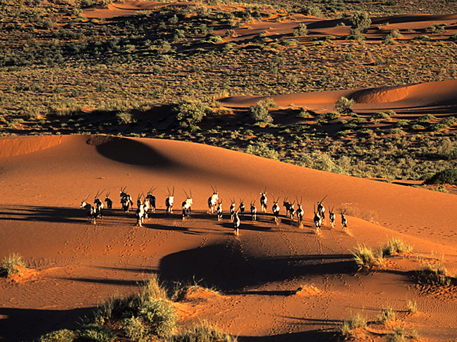 Kalahari Desert 3