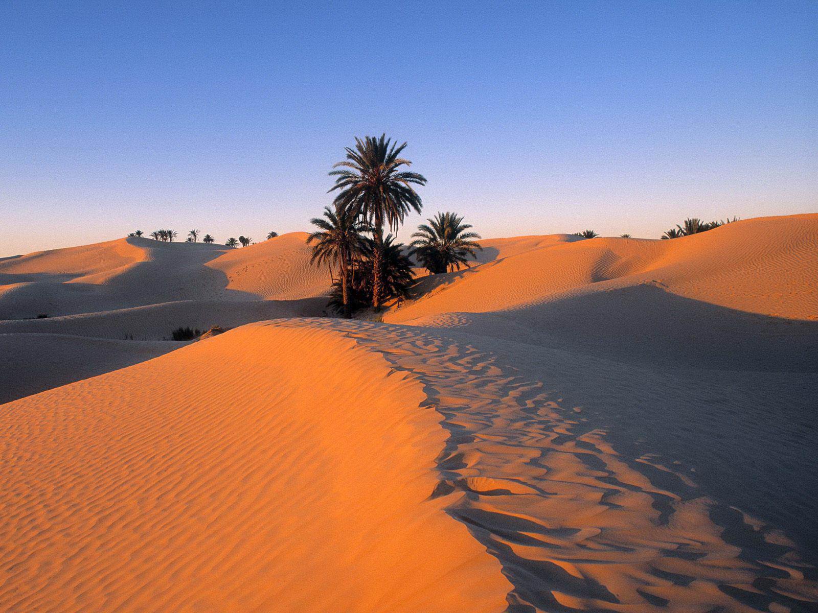 Sahara-Desert-2