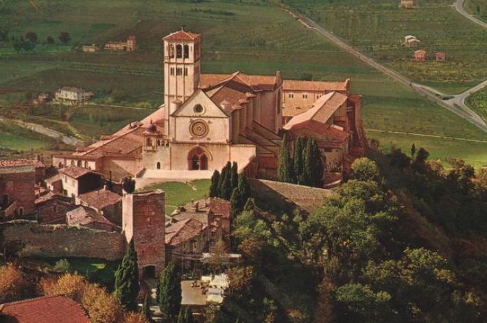 assisi tafter.it