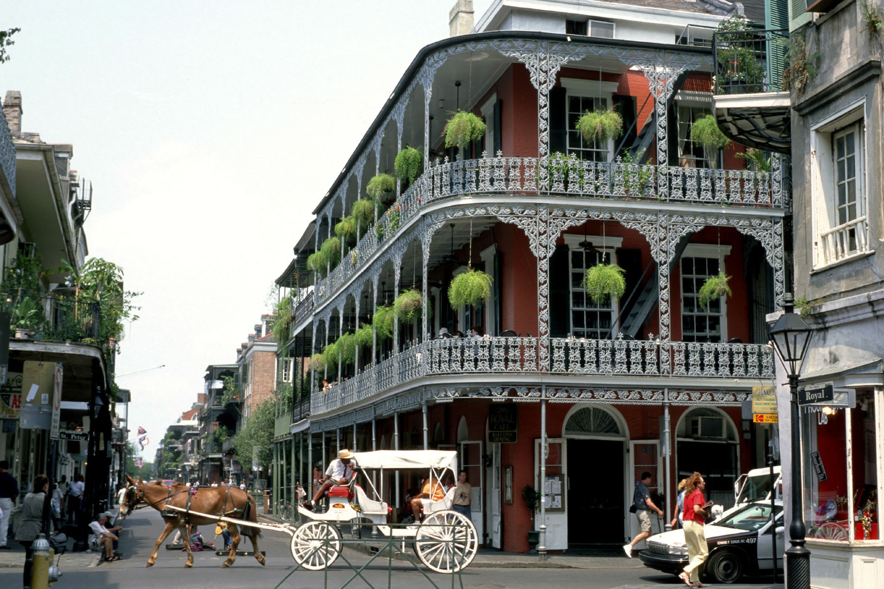 Discovering New Orleans