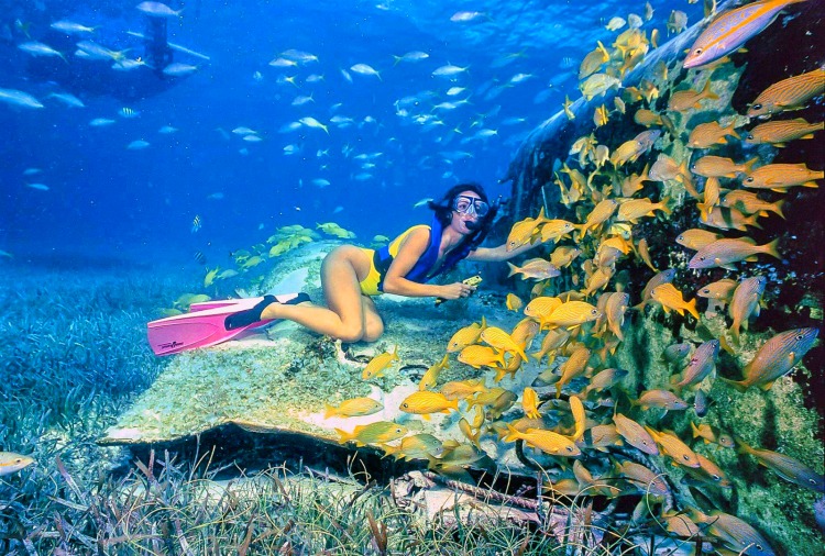 snorkeling in the bahamas