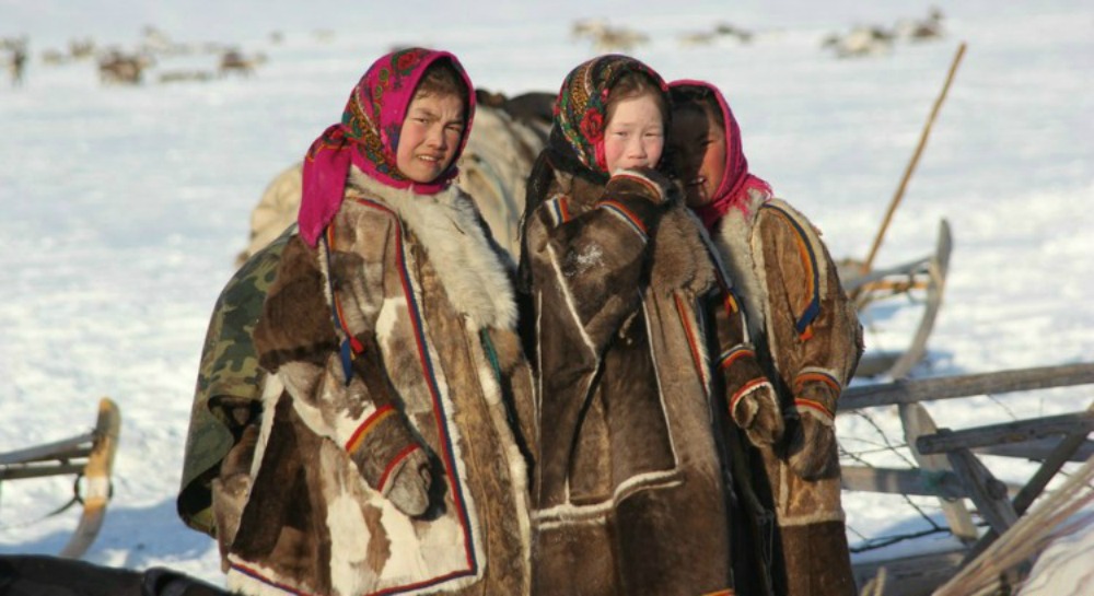 Nenets, Siberian nomads