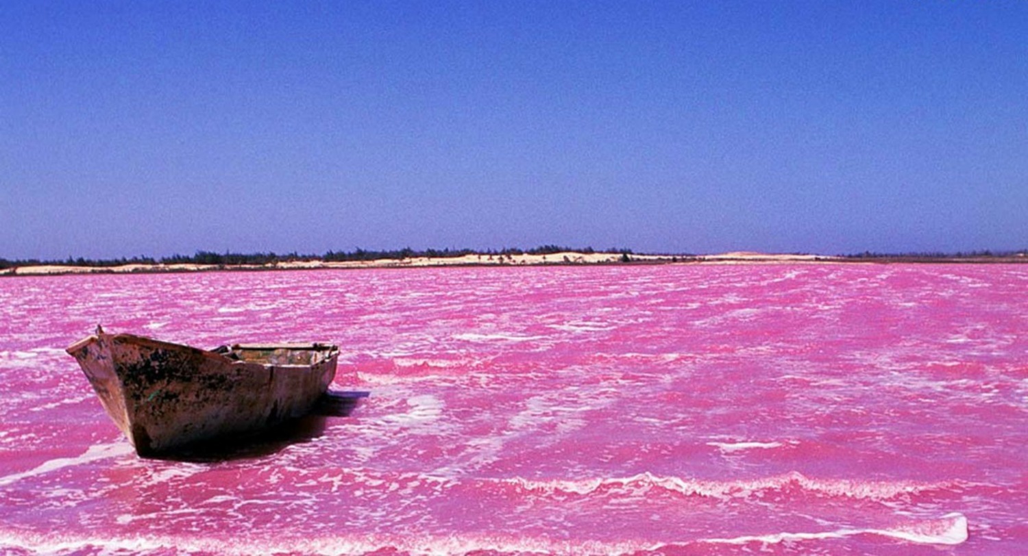 amazing pink lake