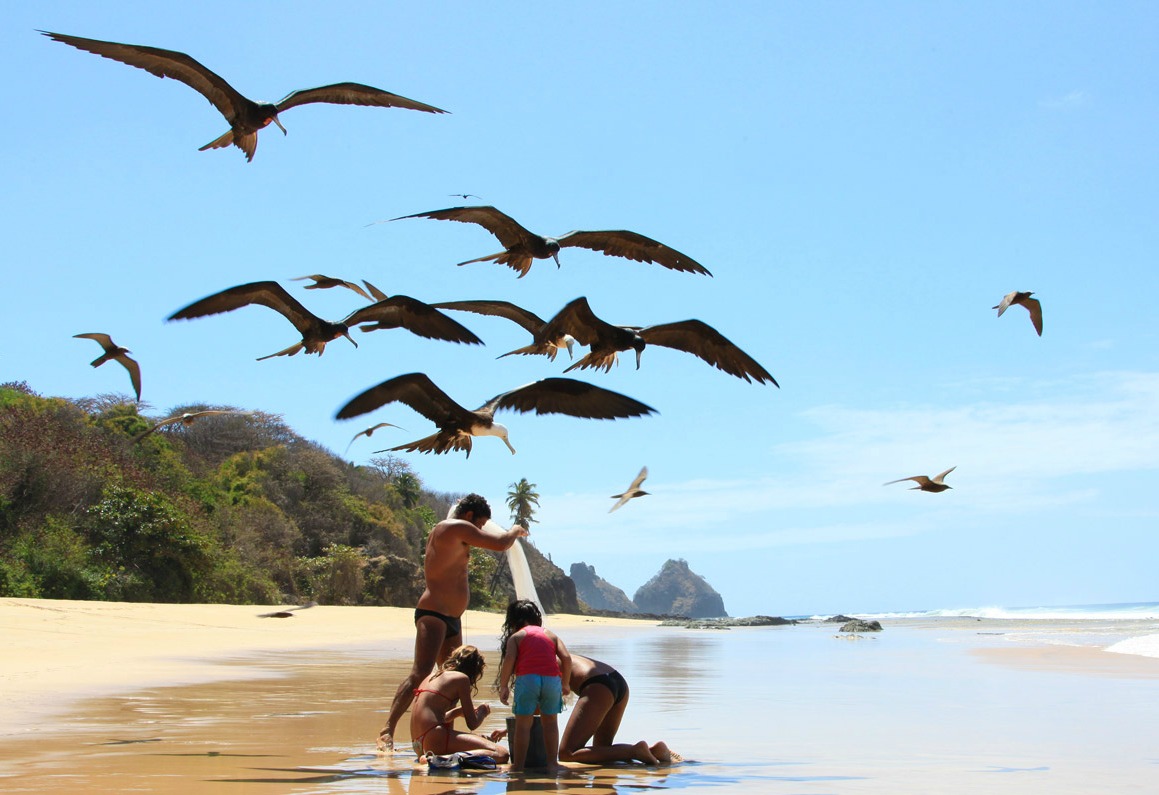 The Brazilian Archipelago  What if the sea level in Brazil was